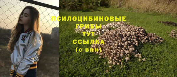 mdpv Кинешма
