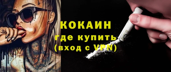 МДПВ Михайлов