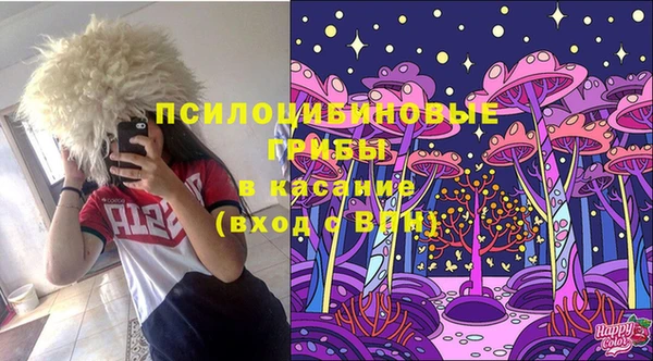 мяу мяу мука Костерёво