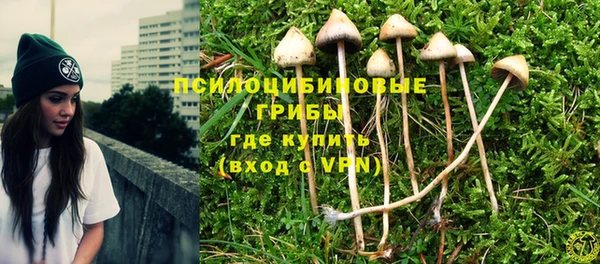 mdma Козловка