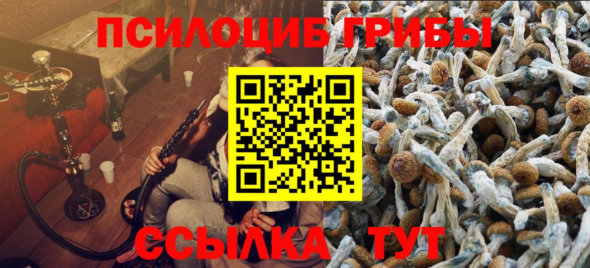 Галлюциногенные грибы мицелий  Рузаевка 