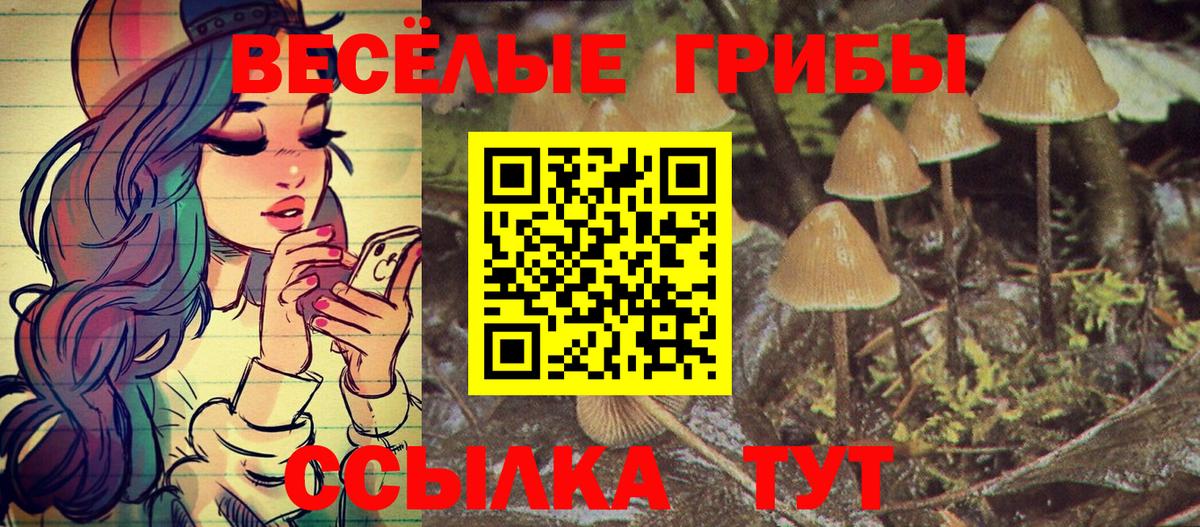 Галлюциногенные грибы MAGIC MUSHROOMS Рузаевка