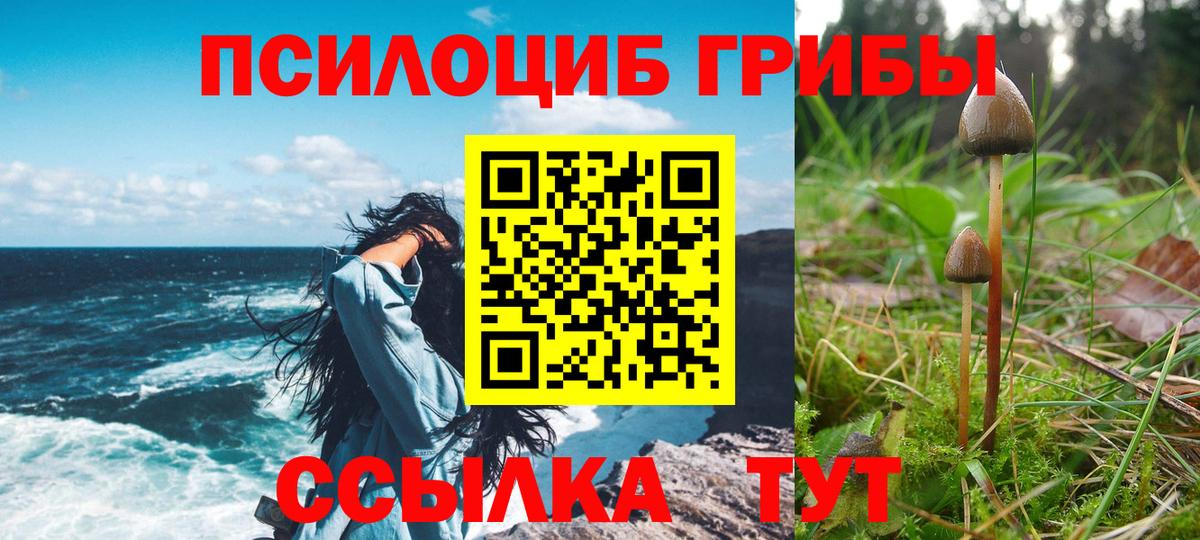Псилоцибиновые грибы ЛСД  Галлюциногенные грибы MAGIC MUSHROOMS  Вход с VPN  Рузаевка 