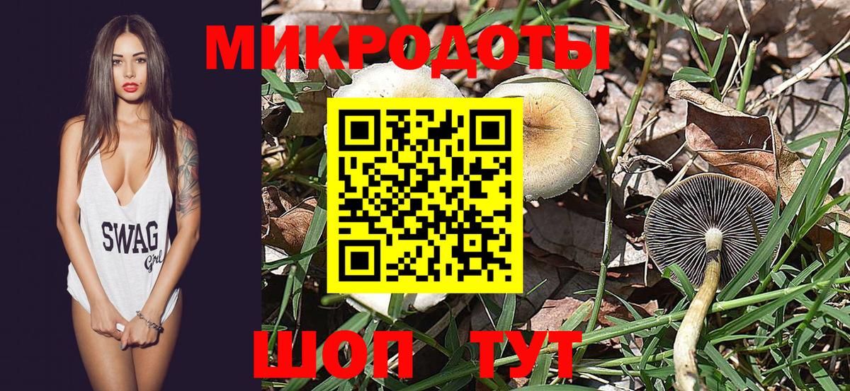 Галлюциногенные грибы Magic Shrooms Рузаевка